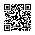 �칫������ֽ��