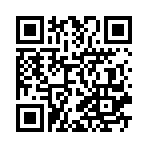 ����˫���齫