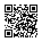 ��������0.1�������