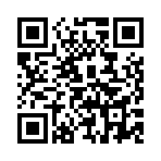 ˫������