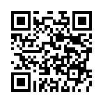 �̽紫�����������ڲ���