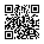 ʥ������������