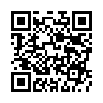 ������Ȩ��������