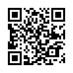 ������˫