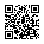 ������˫