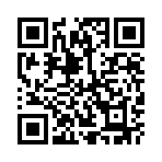 ������ͣ����