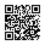 ��ʦ������