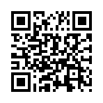 ����ʯ������