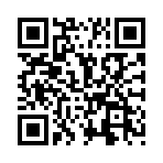 ��ŭ��С��˫�˶�ս