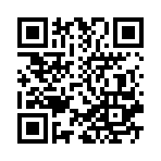 ��������Ӯ���