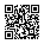 ������˫