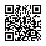 �Ǽ�����������