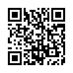 δ����ʿ��սʯ����