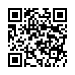 ���˹�����