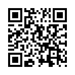 ����˸���