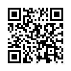 ����˵���ս