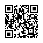 ʢ������