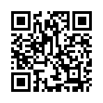 ʢ������