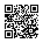 ��ɫС������