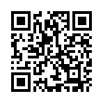 ������Ϯ