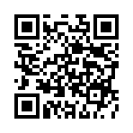 ������Ϯ���������