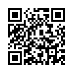 ������˫