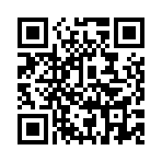 ������Ȩˢ���