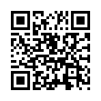 ӥ��������߷���