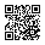 ������˵