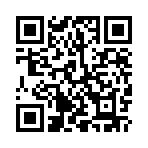 ������˵