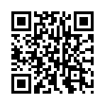 �ʳ�ս0.1��׽���ʦ