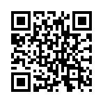 �Ϲ�����