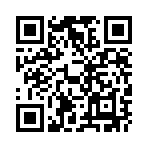 �в˿�������������