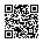 ��˫����