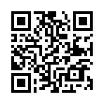 ��ս����������˫