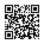 ��ս����