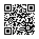 ��ս����2��ȼ������