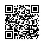 ���ŷɻ����������GM