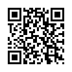 ���ŷɻ���