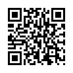 ���ݰ˻�¼��봸�����