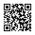 ���޴�½�����������