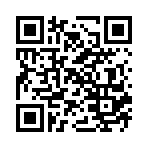 ���紫˵���������