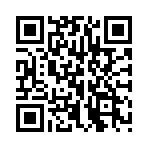 ����ʿ0.1���ⵥ������