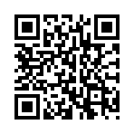 ����ս�����޳�