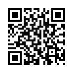 ����ս����������