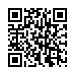 ����֮ս����˽����