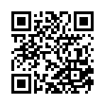 ����֮�ճǼ�