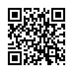 ����׷��