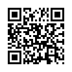 ������Ȩ�����