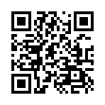 ������Ȩ